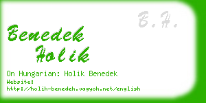 benedek holik business card